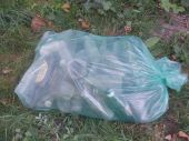 Clean_Up_The_World_2011___06
