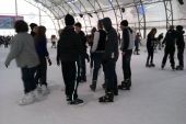 Icemania_2013_09