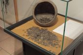 Wycieczka_do_muzeum_13