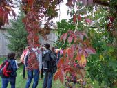 3.10.2012_Rajd_pieszy_8