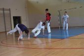Capoeira_8