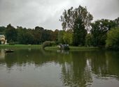 Kazimierz_2014_13
