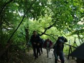 Kazimierz_2014_26