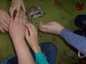 42