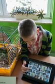 Dzien_Otwarty_w_szkole_08