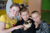 Dzien_Otwarty_w_szkole_31