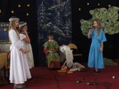 Jaselka_2012__24