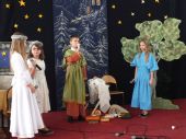 Jaselka_2012__25