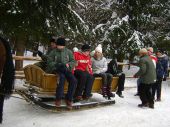 Kulig_2010_2