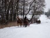 Kulig_2010_3