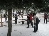Kulig_2010_6